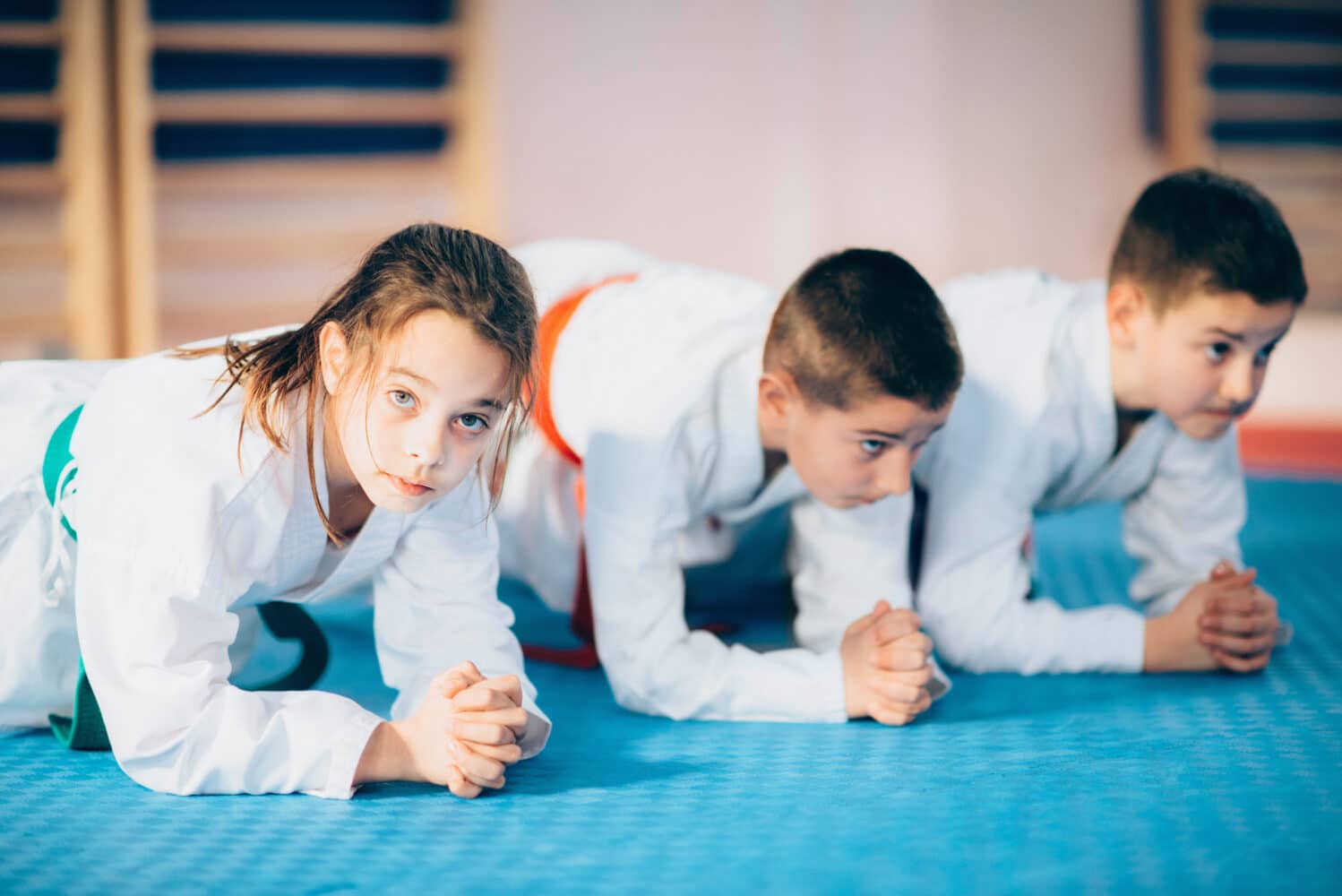 Elite Karate & Fitness Elite Karate & Fitness Kids' Classes (Ages 6-12)